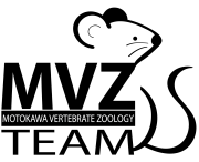 Motokawa Vertebrate Zoology Team